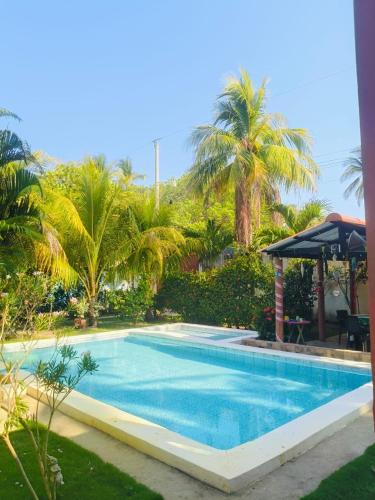 a large swimming pool in a yard with palm trees at Rancho María in San Diego