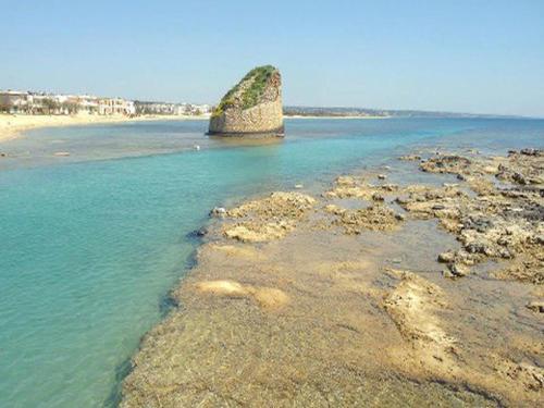 Villetta verde torre pali – Photos 2