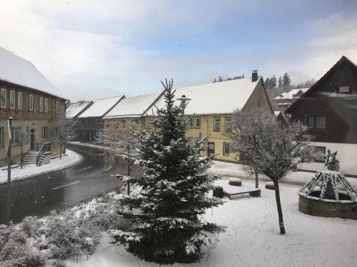 a snow covered town with a christmas tree and buildings at Hotel & Restaurant Druidenstein in Trautenstein