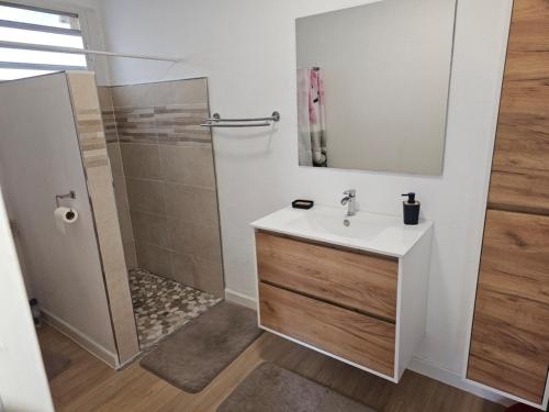 a bathroom with a sink and a shower at Paradies Caraibes IV in Les Abymes