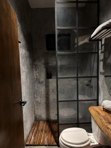 a bathroom with a toilet and a shower at Departamento completo casarosa in Valladolid