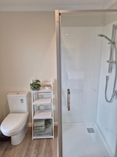 a bathroom with a white toilet and a shower at Monarch Park Studio in Cambridge