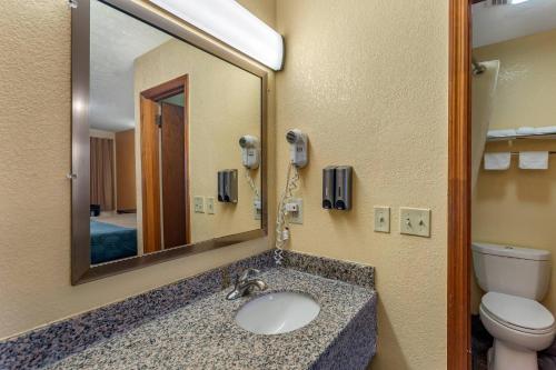 a bathroom with a sink and a mirror and a toilet at Econo Lodge Nashville North in Nashville