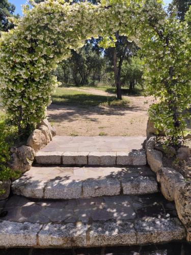 an archway with stone steps in a park at Serenella in Olbia