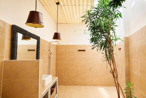 a bathroom with a shower and a plant at Art Hill Villas in Kao Kuil