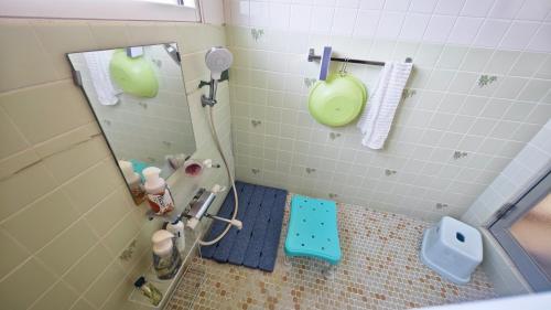 a bathroom with a shower with a mirror at 天水島ヒルズ in Tokamachi