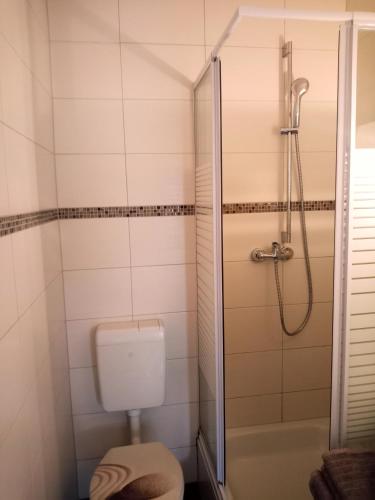 a bathroom with a toilet and a shower at Fischstübchen Neeberg Apt 1 – Wald und Wiese in Krummin