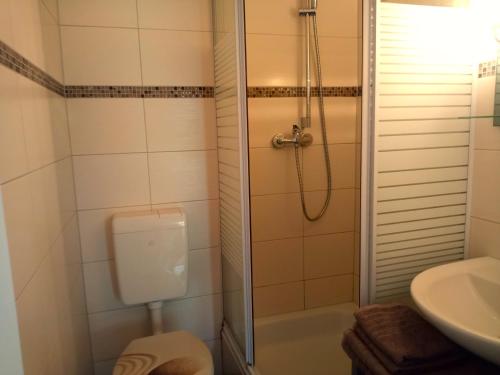 a bathroom with a shower and a toilet and a sink at Fischstübchen Neeberg Fewo 2 - Achterwasser in Krummin