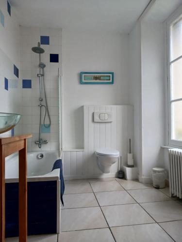 a bathroom with a toilet and a tub and a sink at Le Voltaire in Airvault
