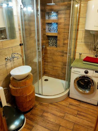 a shower with a sink and a washing machine in a bathroom at Pod Milanem in Przemyśl