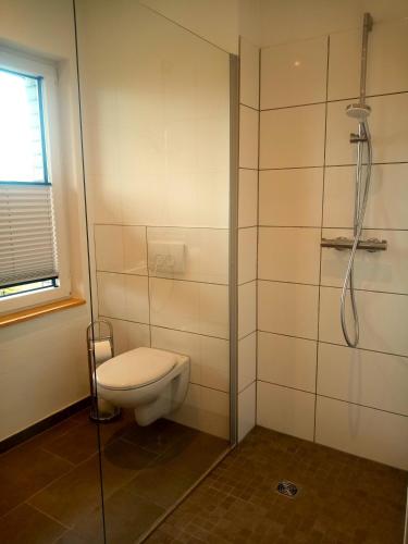 a bathroom with a toilet and a shower at Fischstübchen Neeberg Fewo 4 – Schwalbennest in Krummin