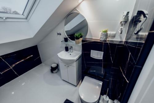 a bathroom with a sink and a mirror and a toilet at Willa Piryt - Kryształowe Wille Krynica Morska in Krynica Morska
