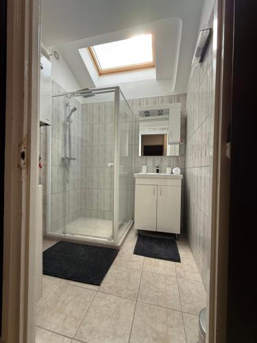 a bathroom with a shower and a sink at CENTRUM Apartman in Sárospatak