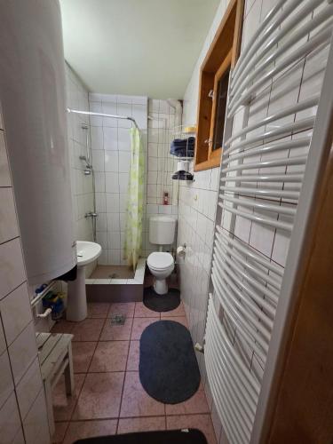 a small bathroom with a toilet and a sink at Cabana Anita in Sovata