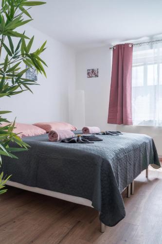 revLIVING Apartments Waidhofen an der Thaya