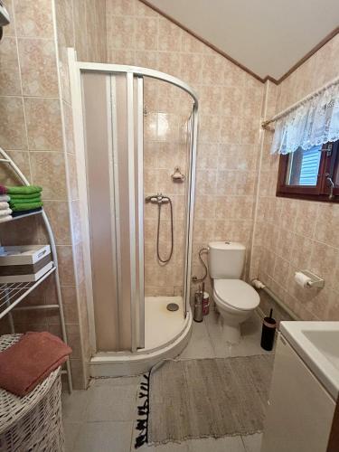 a bathroom with a shower and a toilet at U čerchovského pramene in Pec