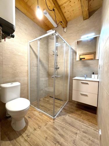 a bathroom with a shower with a toilet and a sink at Chalupa Renatka in Hartvíkovice