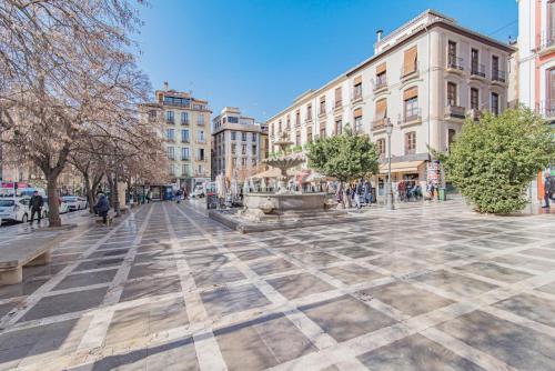 Los arilos de Granada