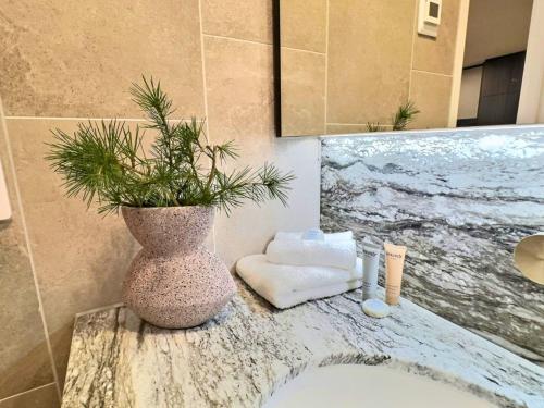 a bathroom with a sink with a potted plant on a counter at Stylish 1BR Getaway and Option for 2nd Br in Campbell