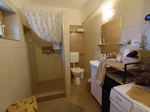 a bathroom with a shower and a toilet and a sink at Tisza-tavi Menedék in Poroszló