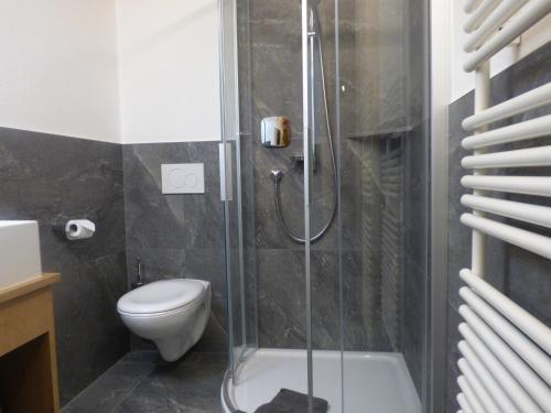 a bathroom with a toilet and a glass shower at Sesvennahof in Malles Venosta