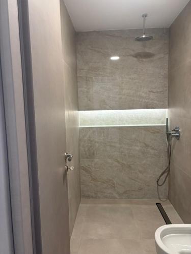 a bathroom with a shower with a toilet and a sink at Coralli Beachfront in Pefki