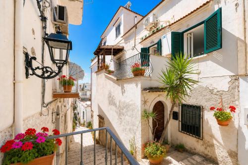 an alley in an old town with potted plants at Venti Nodi in Vieste