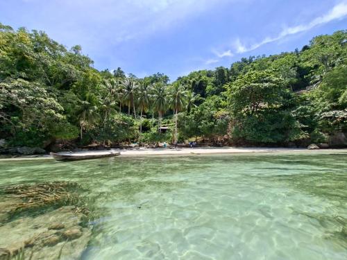 a beach with crystal clear water and palm trees at Banua Guesthouse in Pulau Malenge