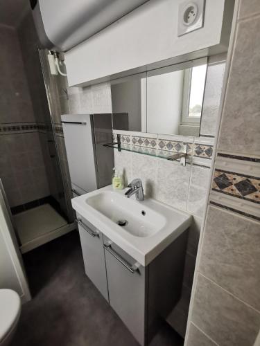 a bathroom with a sink and a shower and a toilet at Studio au coeur pays basque in Ustaritz