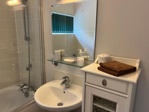 a bathroom with a sink and a shower and a mirror at Painter's House in Dunvegan