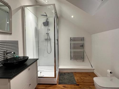 a bathroom with a shower and a black sink at villa des roses in Bergerac