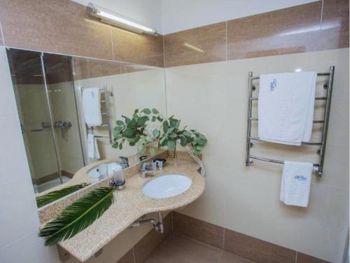 a bathroom with a sink and a mirror at SPA Amber Palace in Šventoji