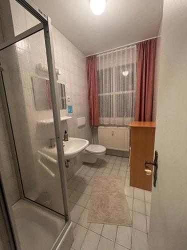 a bathroom with a shower and a sink and a toilet at Waldliebe Spiegelhütte - Ferienwohnung am Bach in Lindberg