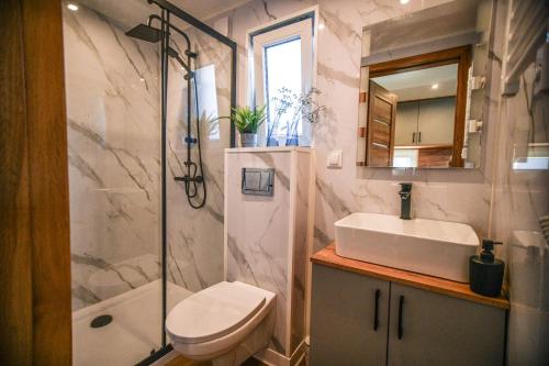a bathroom with a sink and a toilet and a shower at Domek Klara in Wałbrzych