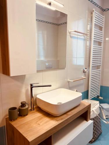 a bathroom with a white sink on a wooden counter at Appartamento Mango in Cavallino-Treporti