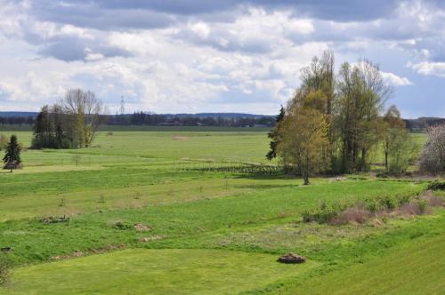 a large green field with trees in the distance at Elbhus Hamburg in Moorwerder