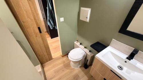 a bathroom with a white toilet and a sink at Studio avec jardin privé et parking gratuit in Mudaison