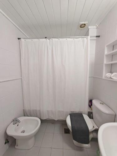 a bathroom with a toilet sink and a shower curtain at Hidden Gem Convenient & Spacious in Andros