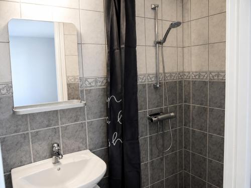 a bathroom with a shower and a sink at Solbacka Apartment in Södra Ås