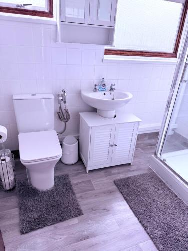 a bathroom with a toilet and a sink at Andover Bungalow in Penton Mewsey