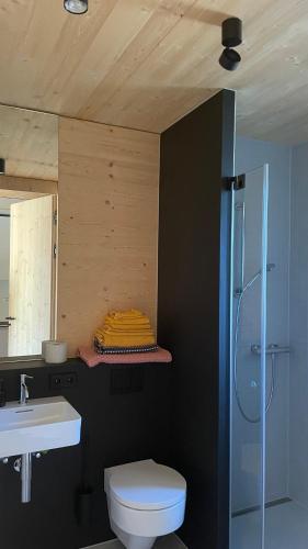 a bathroom with a toilet and a sink at Refugium in Schwaigen