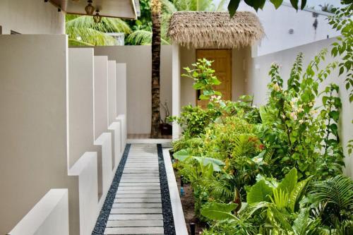 a garden corridor in a house with plants at Isola Alifu in Feridhoo