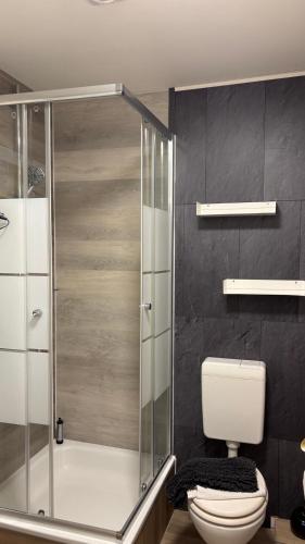 a bathroom with a toilet and a glass shower at Hotel Auberge Restaurant in Schorfheide