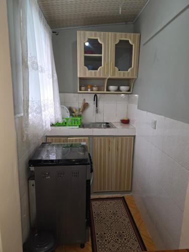 a small kitchen with a sink and a window at Rosemond cottages eldoret in Eldoret