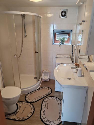 a bathroom with a toilet and a sink and a shower at Chata na farmě Petrovice in Mladošovice
