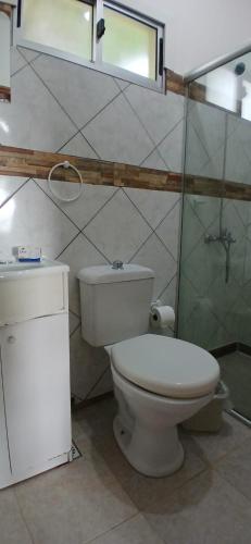 a bathroom with a toilet and a glass shower at Piedra de Luna o Sur in Villa Serrana