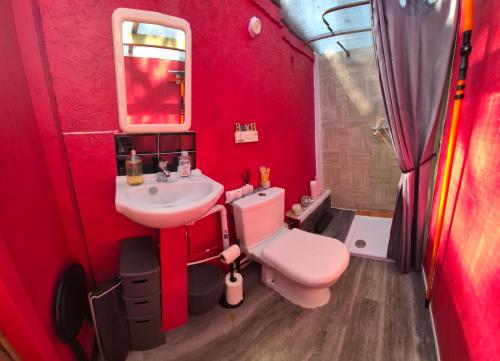 a red bathroom with a toilet and a sink at Sheviock Barton Yurt in Sheviock