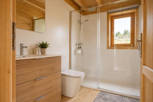 a bathroom with a shower and a toilet and a sink at Cabanas Allariz in Allariz