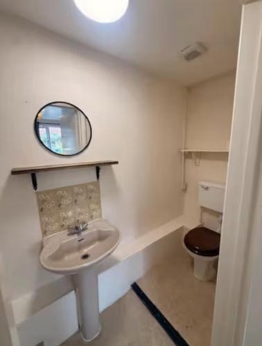 a bathroom with a sink and a toilet at The Burrow at Black Rabbit Pub in Haybridge