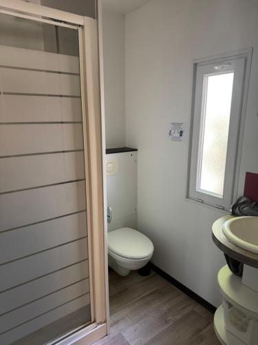 a bathroom with a toilet and a window at Mobil-home val de durance in Cadenet